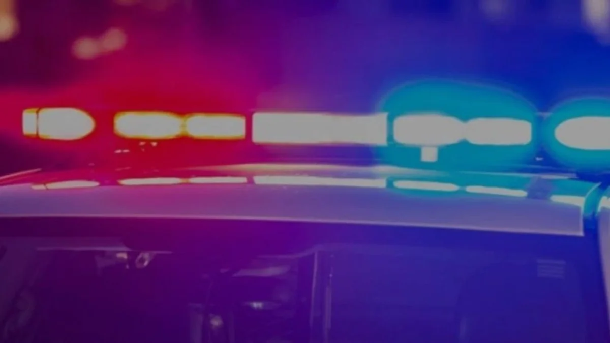 Police lights indicating law enforcement activity related to Chad Behee.