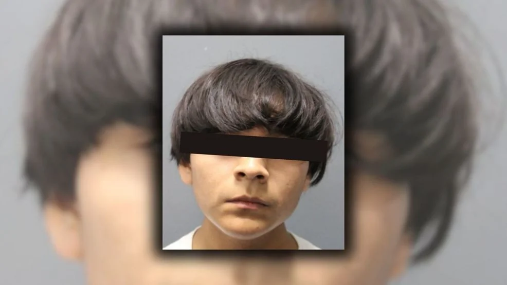 Mugshot related to community issues impacting Dashayla Ardoin.