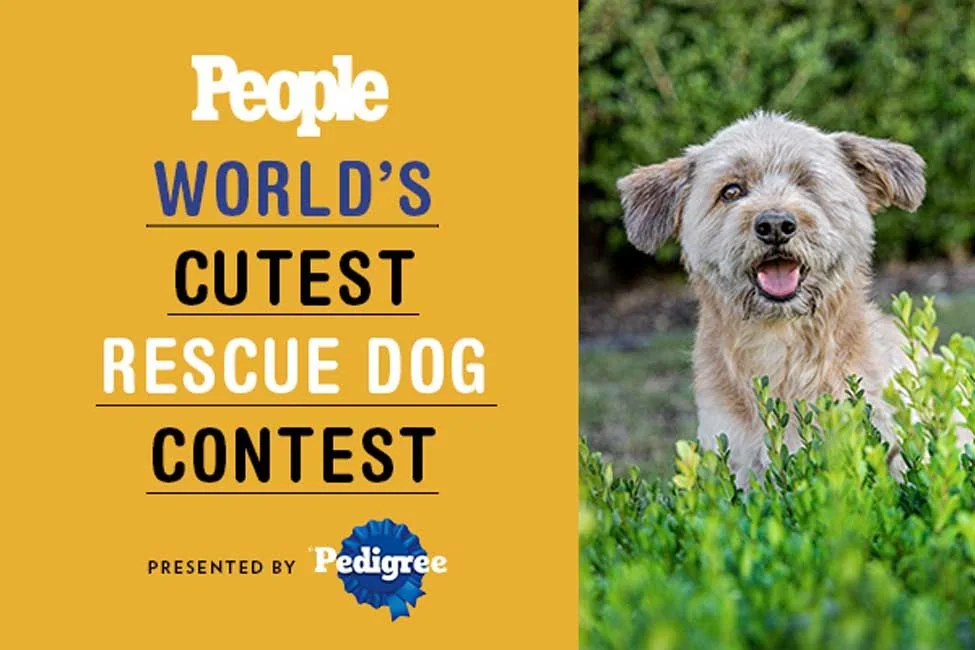 World's Cutest Rescue Dog Contest by People Magazine.