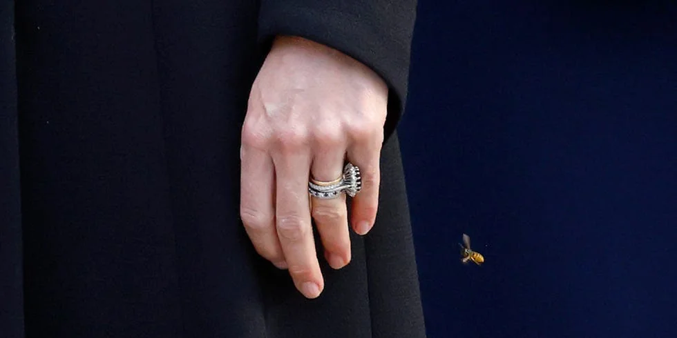 Kate Middleton ring stack 2025 with iconic sapphire ring.