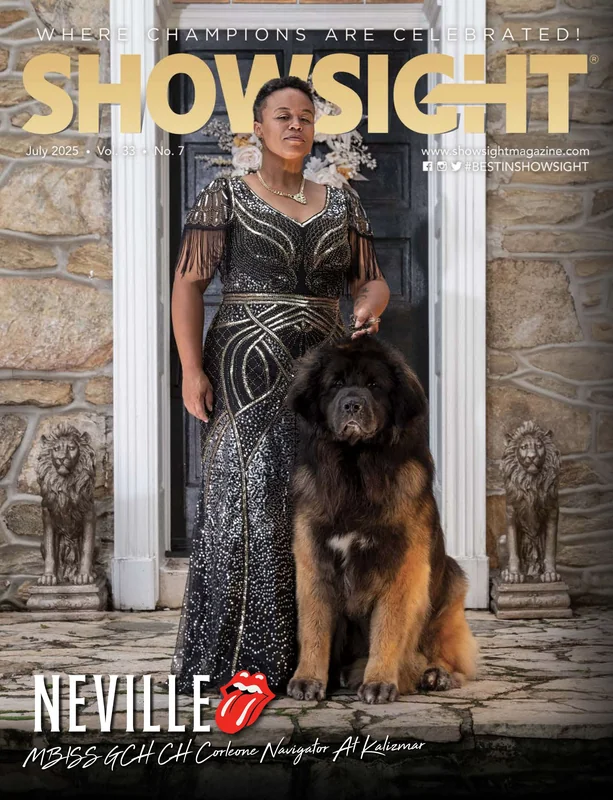 Magazine cover showcasing beauty and companionship themes in Phyllis Stephens' art.