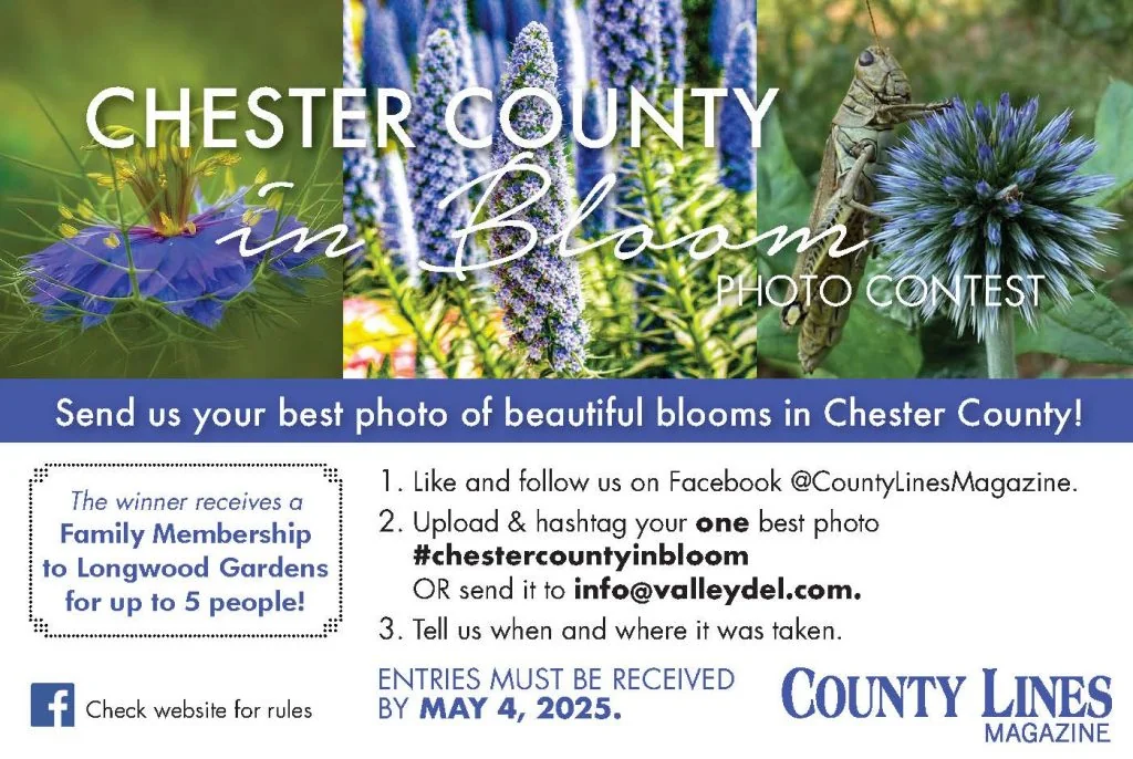 Chester County in Bloom photo contest flyer promoting submissions.